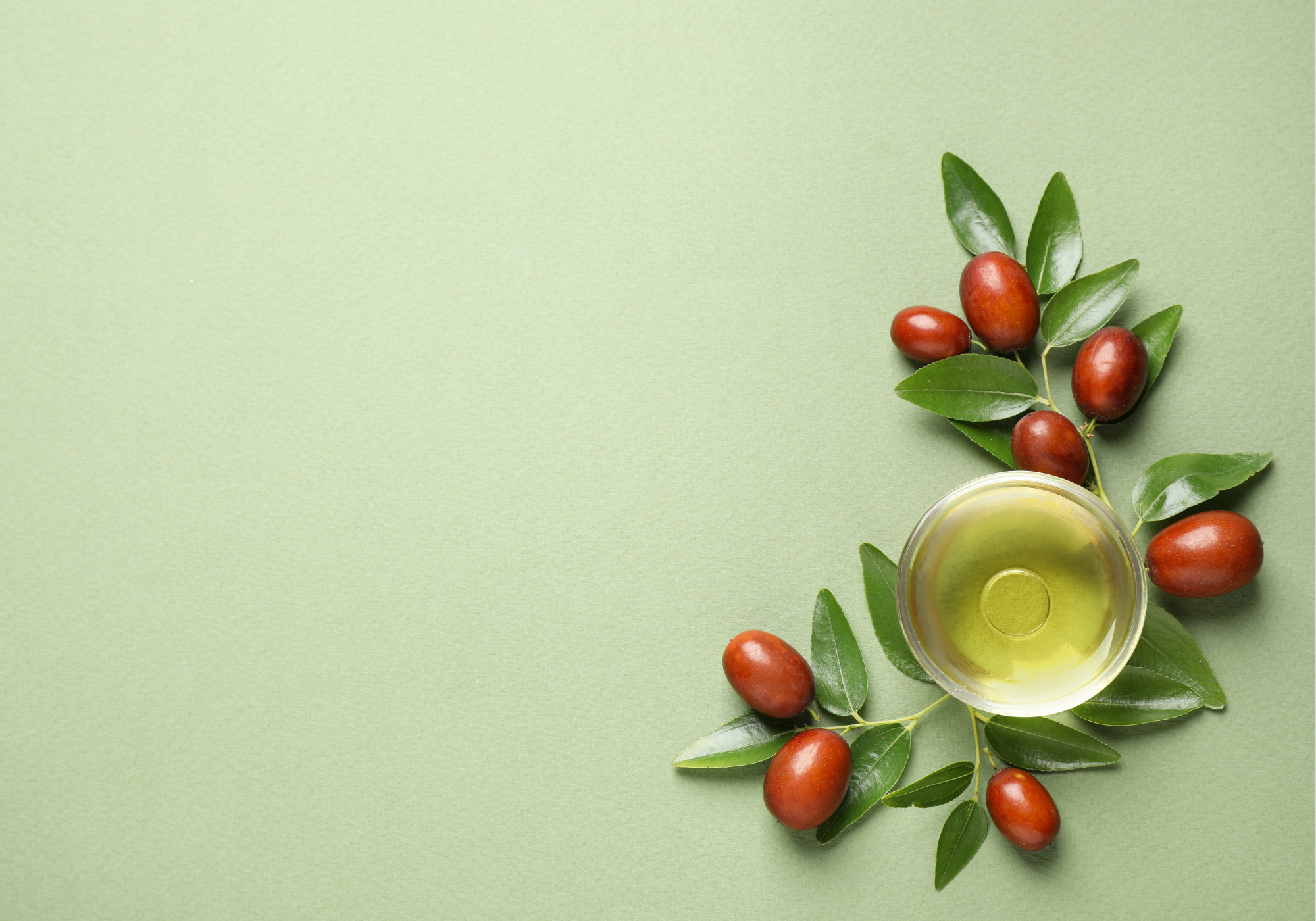 Ingrediënten babyverzorging: Jojoba-olie