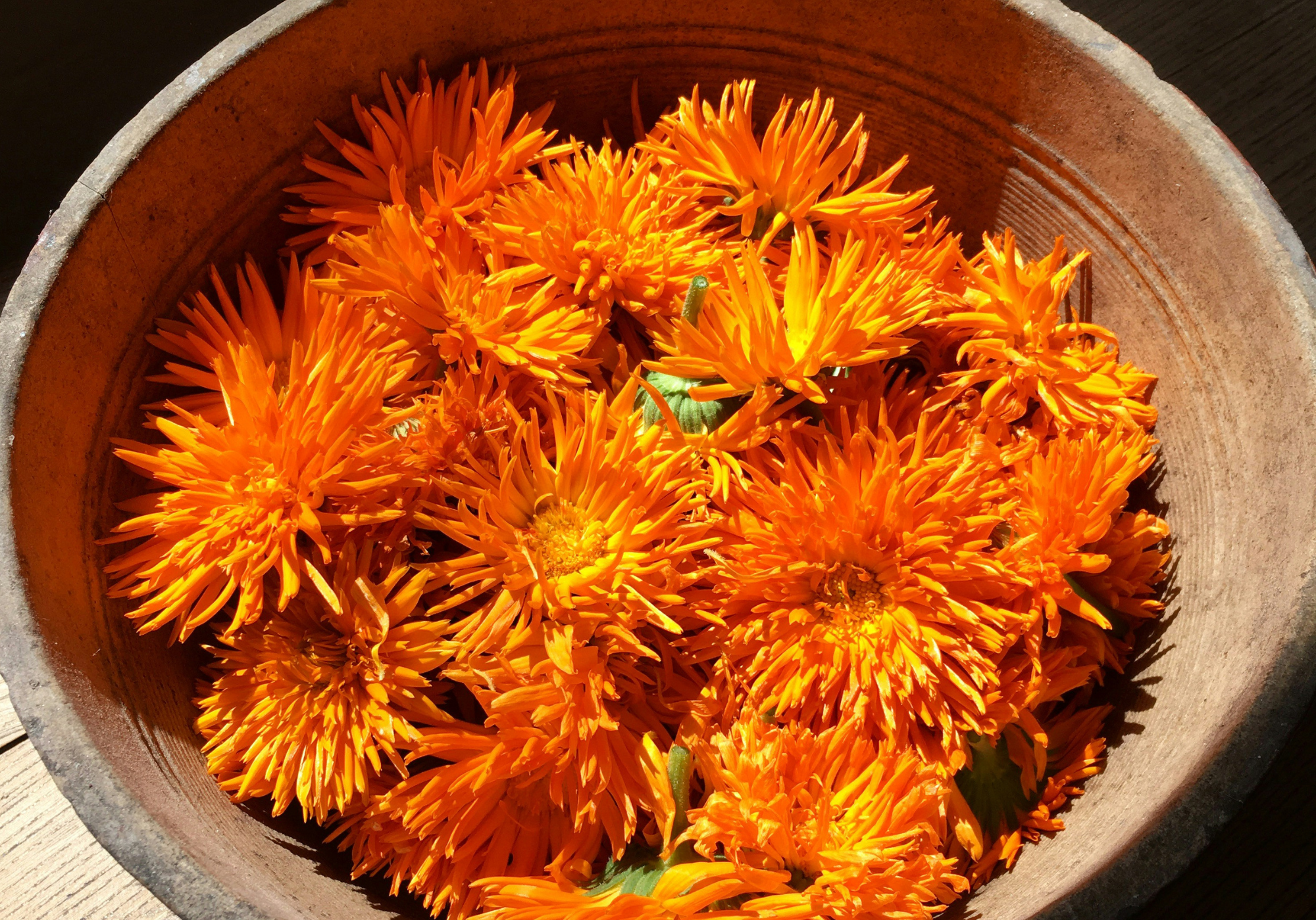 Ingrediënten babyverzorging: Calendula
